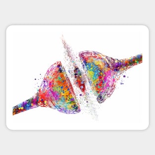 Synapse Receptor Watercolor Sticker